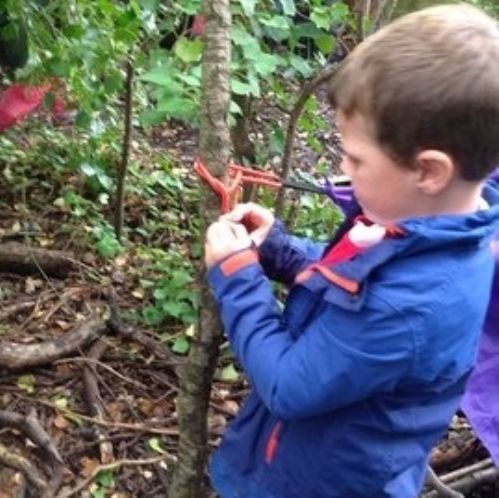 Year 1 - Forest School